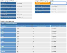 Load image into Gallery viewer, Pacote para Consultores: 39 Planilhas + Apostilas