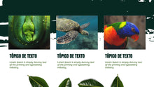 Load image into Gallery viewer, Apresentação de Animal em Powerpoint